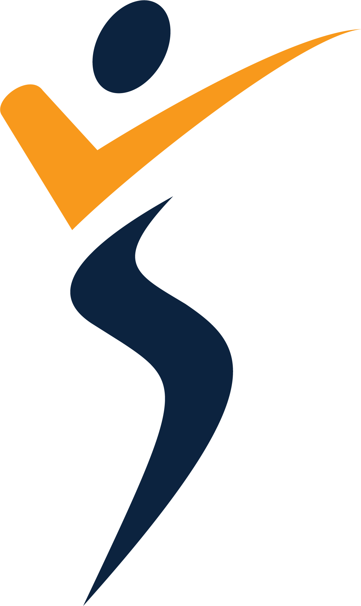 VIS